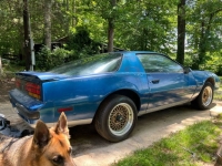 1987 Pontiac Firebird for sale in Michigan (ID-142383)