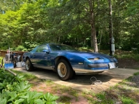1987 Pontiac Firebird for sale in Michigan (ID-142383)