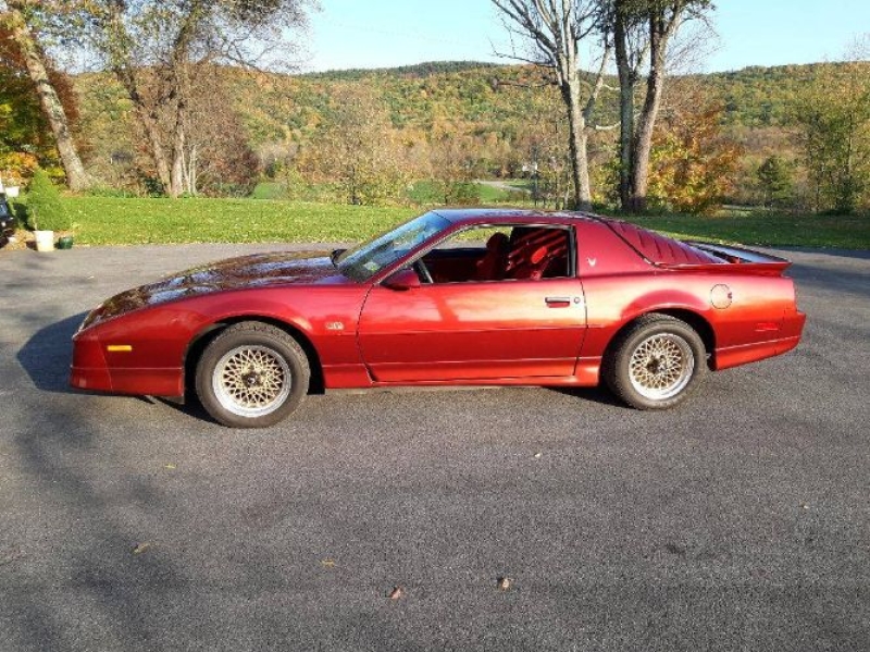 1987 Pontiac Firebird for sale in Michigan (ID-163552)