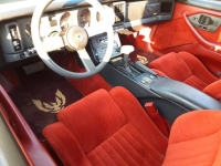 1987 Pontiac Firebird for sale in Michigan (ID-163552)