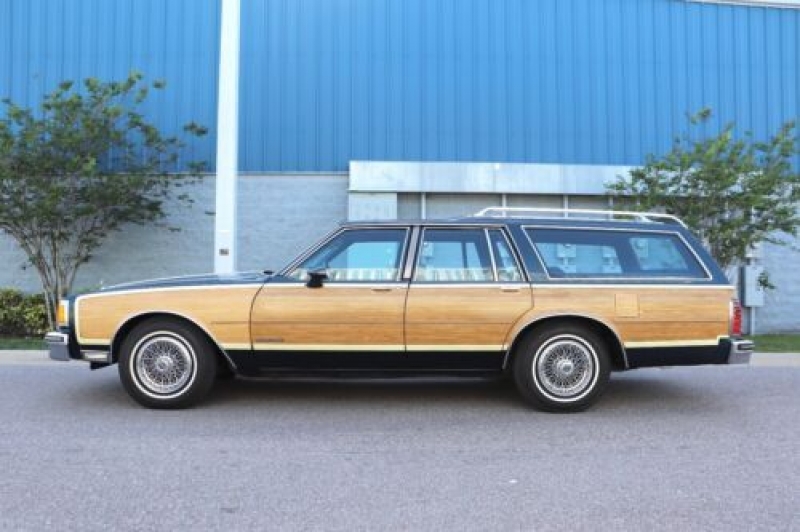 1987 Pontiac Safari for sale in Michigan (ID-102421)