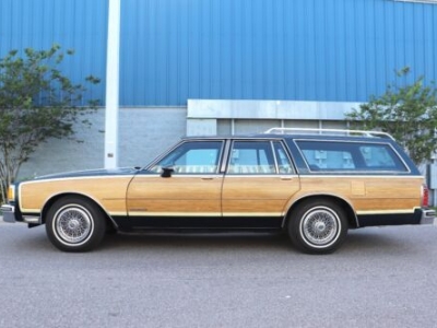1987 Pontiac Safari for sale