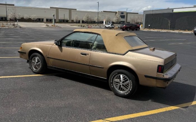 1987 Pontiac Sunbird for sale in Michigan (ID-141436) 1987 Pontiac Sunbird for sale in Michigan (ID-141436)