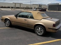 1987 Pontiac Sunbird for sale in Michigan (ID-141436)