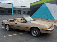 1987 Pontiac Sunbird for sale in Michigan (ID-141436)