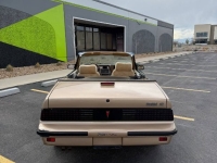 1987 Pontiac Sunbird for sale in Michigan (ID-141436)