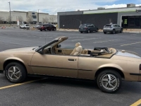 1987 Pontiac Sunbird for sale in Michigan (ID-141436)