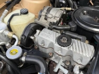 1987 Pontiac Sunbird for sale in Michigan (ID-141436)