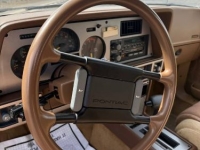 1987 Pontiac Sunbird for sale in Michigan (ID-141436)
