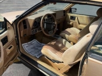 1987 Pontiac Sunbird for sale in Michigan (ID-141436)