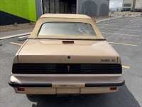 1987 Pontiac Sunbird for sale in Michigan (ID-141436)
