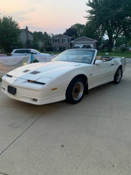 1987 Pontiac Trans Am for sale in Michigan (ID-97628)