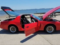 1987 Pontiac Trans Am for sale in Michigan (ID-119526)