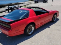 1987 Pontiac Trans Am for sale in Michigan (ID-119526)