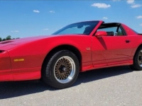 1987 Pontiac Trans Am for sale in Michigan (ID-119526)