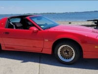 1987 Pontiac Trans Am for sale in Michigan (ID-119526)