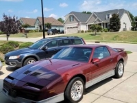 1987 Pontiac Trans Am for sale in Michigan (ID-161149)