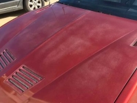1987 Pontiac Trans Am for sale in Michigan (ID-161149)