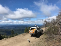 1987 Toyota 4 Runner for sale in Michigan (ID-139862)
