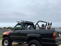 1987 Toyota 4 Runner for sale in Michigan (ID-141819)