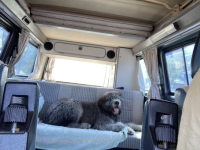 1987 Volkswagen Vanagon for sale in Michigan (ID-134803)