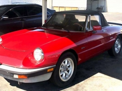1988 Alfa Romeo Spider for sale