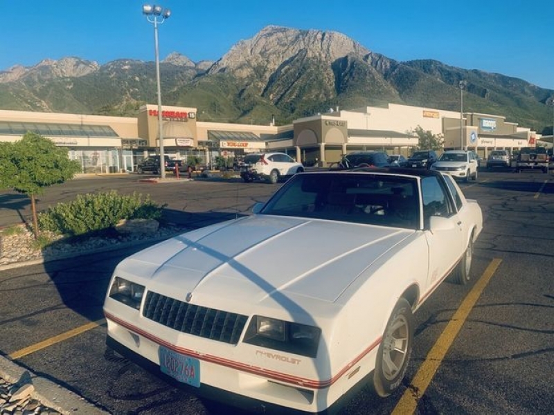 1988 Chevrolet Monte Carlo for sale in Michigan (ID-88244)