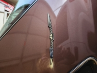 1988 Ford Thunderbird for sale in Carson City, Nevada (ID-109848)
