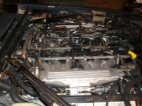 1988 Jaguar XJS for sale in Michigan (ID-92262)