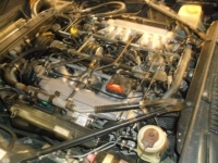 1988 Jaguar XJS for sale in Michigan (ID-92262)
