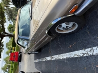 1988 Jaguar XJS for sale in Boca Raton, Florida (ID-145720)
