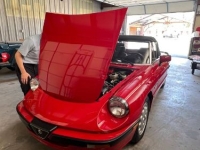 1988 Alfa Romeo Spider for sale in Michigan (ID-138321)