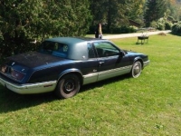 1988 Buick Riviera for sale in Michigan (ID-134567)