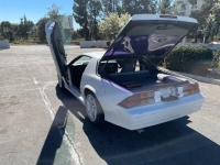 1988 Chevrolet Camaro for sale in Michigan (ID-96061)