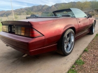1988 Chevrolet Camaro for sale in Michigan (ID-112037)