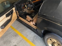 1988 Chevrolet Camaro for sale in Michigan (ID-142334)