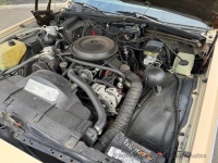 1988 Chevrolet Caprice for sale in Riverhead, New York (ID-141913)