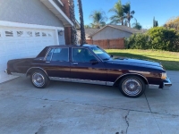 1988 Chevrolet Caprice for sale in Michigan (ID-163333)