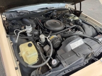 1988 Chevrolet Caprice Classic for sale in Michigan (ID-140746)