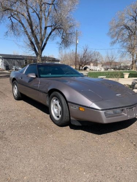 1988 Chevrolet Corvette for sale in Michigan (ID-115738)