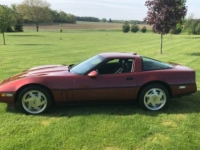 1988 Chevrolet Corvette for sale in Michigan (ID-134408)
