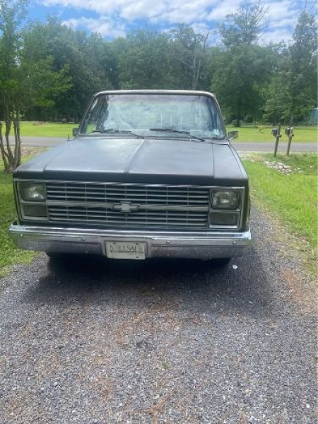 1988 Chevrolet Custom for sale in Michigan (ID-142011)