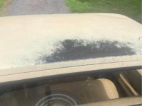 1988 Chevrolet Custom for sale in Michigan (ID-142011)