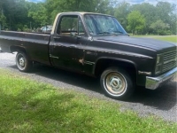 1988 Chevrolet Custom for sale in Michigan (ID-142011)