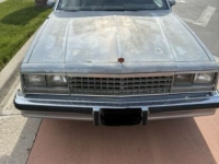 1988 Chevrolet El Camino for sale in Michigan (ID-164424)