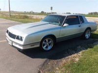 1988 Chevrolet Monte Carlo for sale in Michigan (ID-95938)