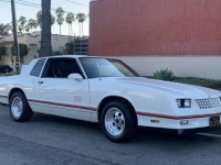 1988 Chevrolet Monte Carlo for sale in Michigan (ID-101764)