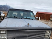 1988 Chevrolet Suburban for sale in Michigan (ID-125899)