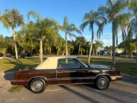 1988 Chrysler LeBaron for sale in Michigan (ID-156249)