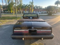 1988 Chrysler LeBaron for sale in Michigan (ID-156249)